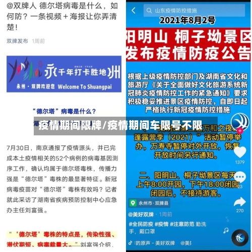 疫情期间限牌/疫情期间车限号不限-第2张图片