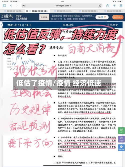 低估了疫情/疫情 经济低迷