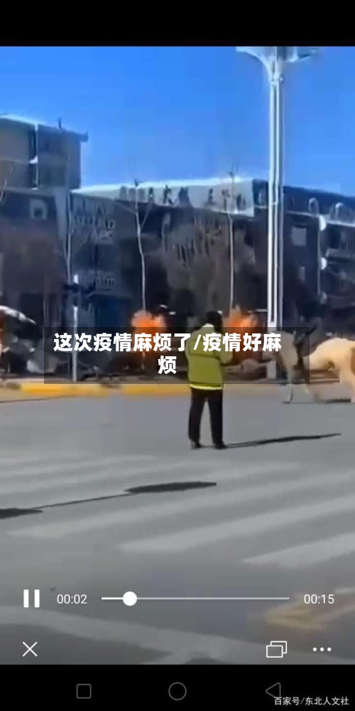 这次疫情麻烦了/疫情好麻烦