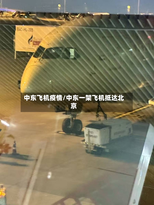 中东飞机疫情/中东一架飞机抵达北京-第3张图片