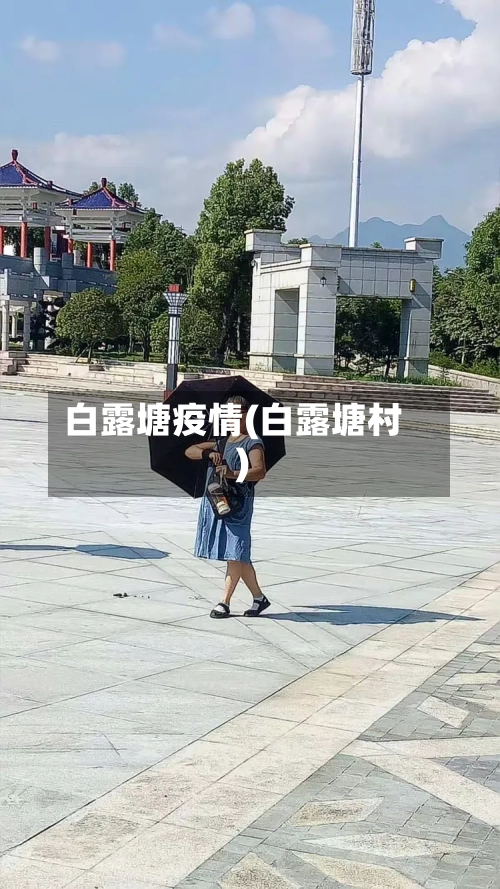 白露塘疫情(白露塘村)