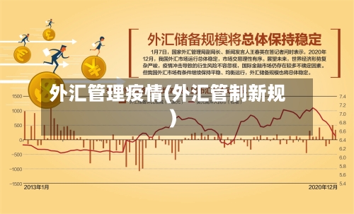 外汇管理疫情(外汇管制新规)