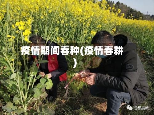 疫情期间春种(疫情春耕)