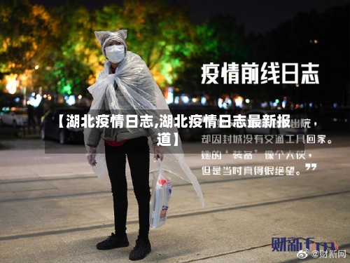 【湖北疫情日志,湖北疫情日志最新报道】-第3张图片