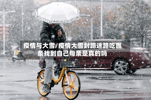 疫情与大雪/疫情大雪封路迷路吃面条找到自己母亲是真的吗-第2张图片