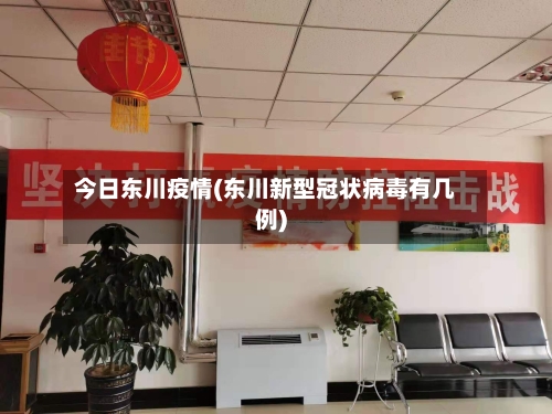 今日东川疫情(东川新型冠状病毒有几例)