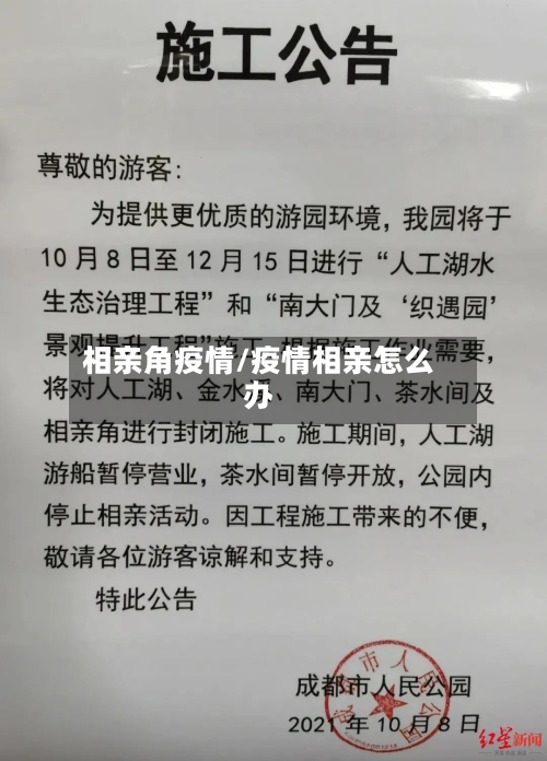 相亲角疫情/疫情相亲怎么办-第2张图片