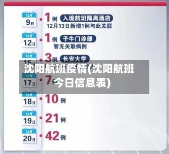 沈阳航班疫情(沈阳航班今日信息表)-第2张图片