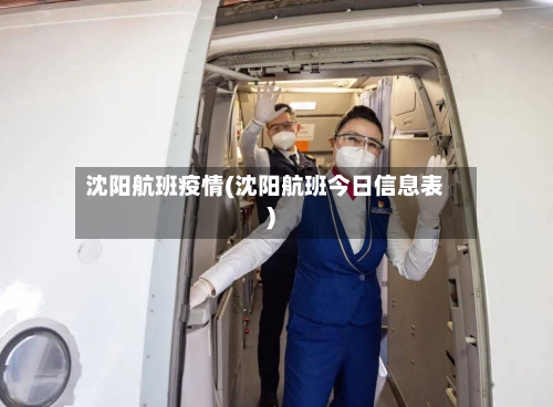 沈阳航班疫情(沈阳航班今日信息表)-第3张图片