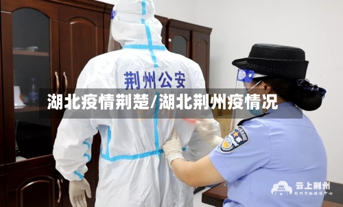 湖北疫情荆楚/湖北荆州疫情况-第2张图片