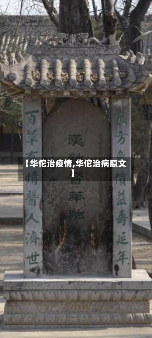 【华佗治疫情,华佗治病原文】